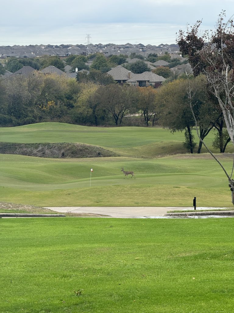 golf course images