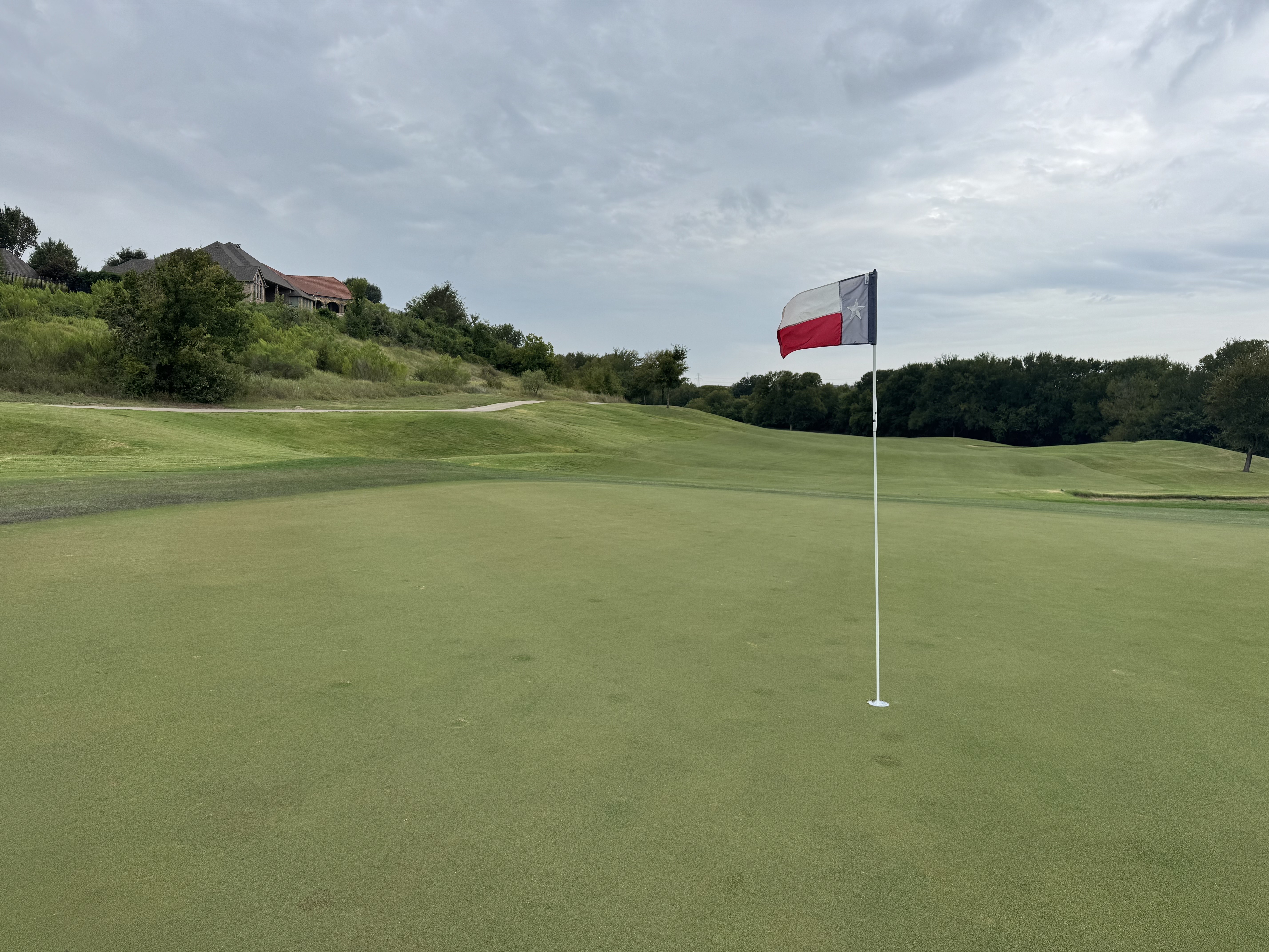 Greens at the course